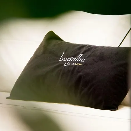 Appartement Bugalha My Loft Douro 2 Peso da Régua